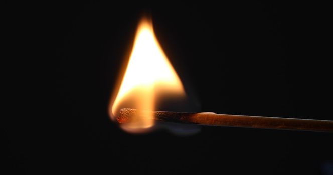 Matchstick burns with a flame and bends upward blackening