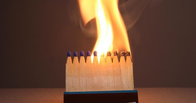 Matchsticks burns with a flame and bends upward blackening