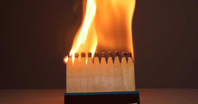 Matchsticks burns with a flame and bends upward blackening