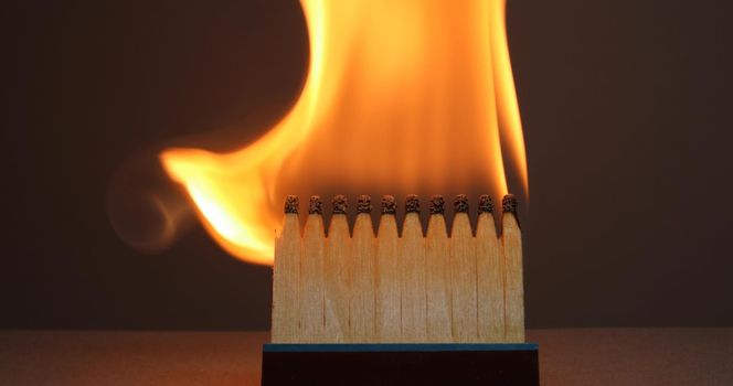 Matchsticks burns with a flame and bends upward blackening