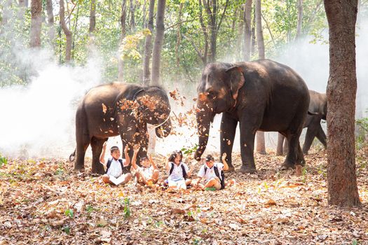 Full Length Of Schoolboys Standing By Elephant In Forest, Student are going to school with elephant.