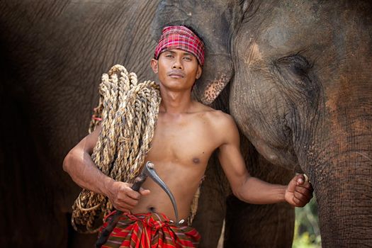 Portrait of Elephant and mahout in the forest.