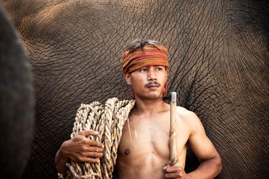 Portrait of Elephant and mahout in the forest.