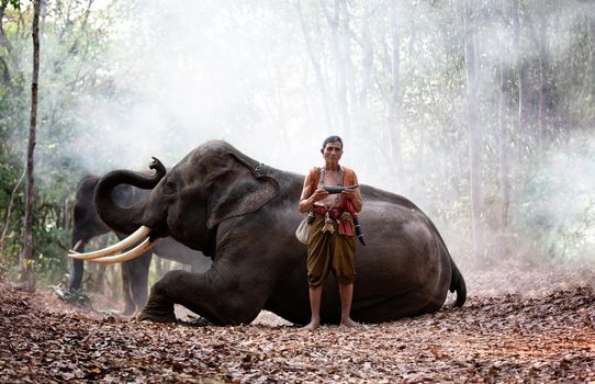 Portrait of Elephant and mahout in the forest.