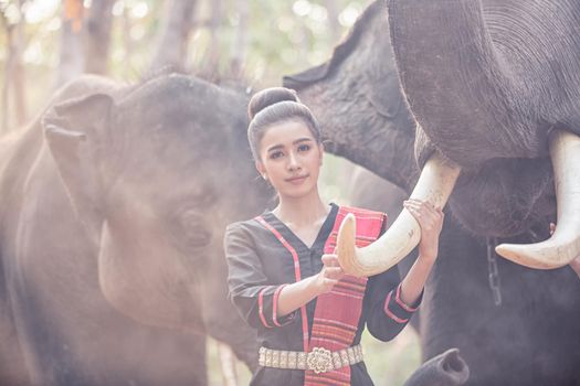Portrait Of Young Woman Standing By Elephant In Forest