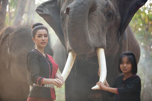 Portrait Of Young Woman Standing By Elephant In Forest