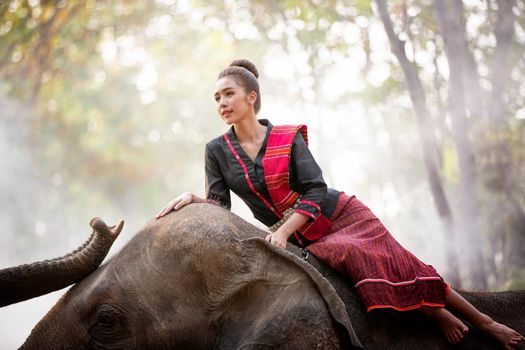 Portrait Of Young Woman Standing By Elephant In Forest