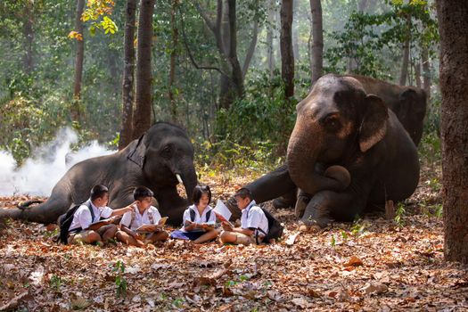Full Length Of Schoolboys Standing By Elephant In Forest, Student are going to school with elephant.