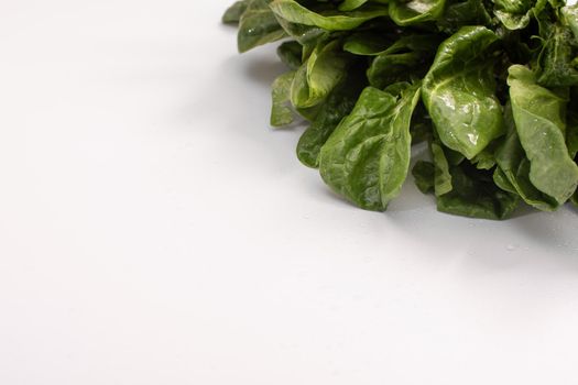 Spinach leaves with a place for writing on a white background. close-up