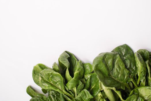 Pile of fresh green spinach leaves on white background. Close up. empty space