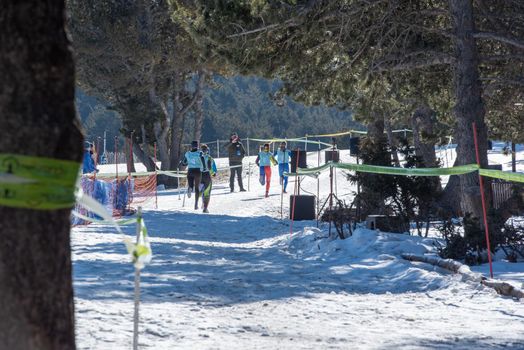 Naturlandia, Andorra : 2021 March 20 : Athletes starting in the 2021 World Triathlon Winter Championships Andorra