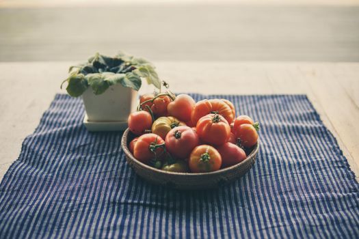 fresh raw red tomatoes in basket on table