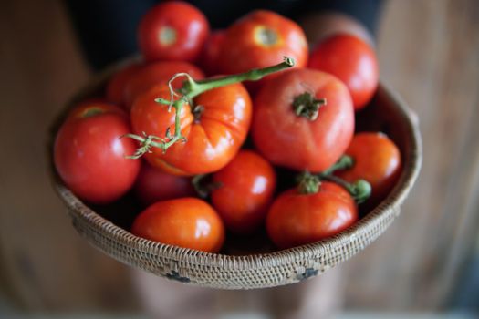hand holding fresh raw red tomatoes in wicker basket