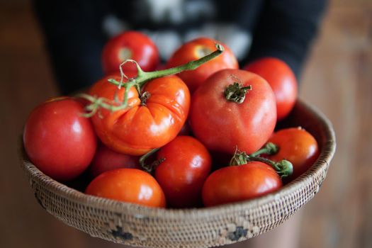 hand holding fresh raw red tomatoes in wicker basket