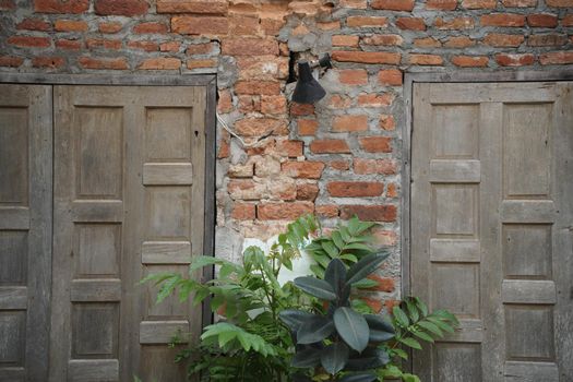 green plant leaves with old retro brown wood door and orange brick wall