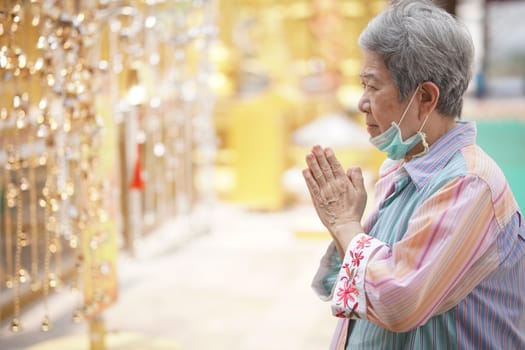 old asian elder senior woman traveler tourist praying at buddhist temple.