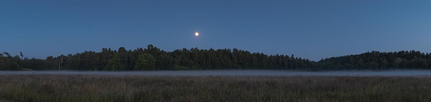 Night view of the forest shrouded in fog with a full moon
