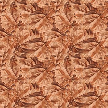 Nature background. Dry autumn leaves seamless pattern. Autumn leaves texture