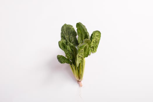 Spinach fresh juicy raw leaves on white background. vegetarian food. Healthy diet. Element for cooking food design