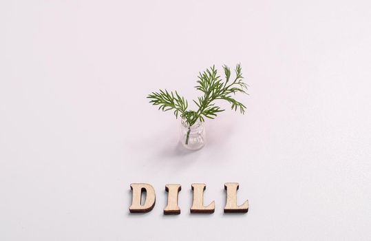 fresh green dill in a small glass bottle on a white background. The inscription dill is written in wooden letters.