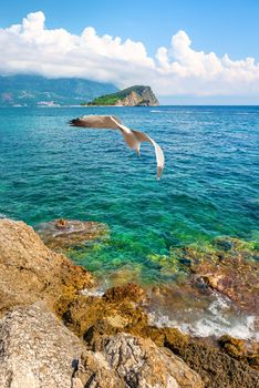 Budva on adriatic sea and Nicholas Island