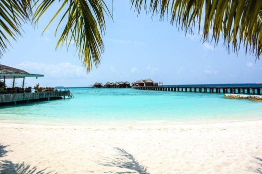 atoll of the tropics and maldives that are reflected in a sea of emerald with a cobalt blue sky