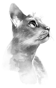 Hand-drawn portrait of cat. Drawing by black ink and watercolor.