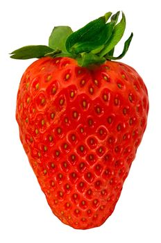 Isolated Fresh Organic Whole Strawberry On A White Background
