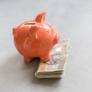 Piggy bank with polish money on concrete table - saving profit concept