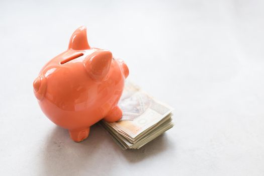 Piggy bank with polish money on concrete table - saving profit concept