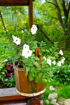 Rural landscape with flowers in a wooden bucket.