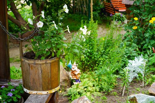 Rural landscape with flowers in a wooden bucket.