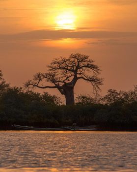 Senegal pictures