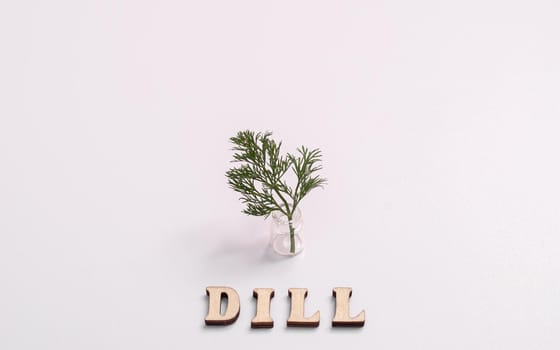 Fresh dill in a small bottle. With an inscription in wooden letters.