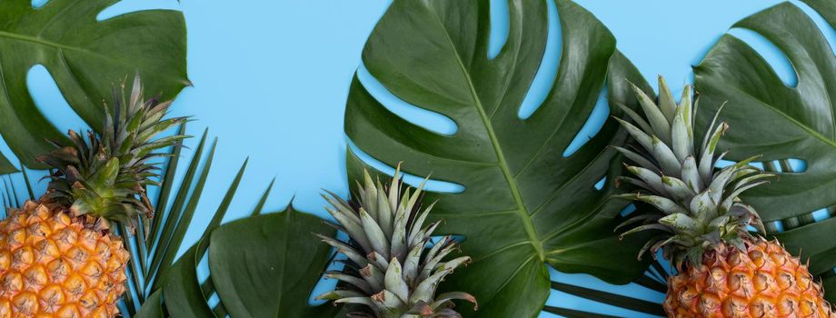 Top view of fresh pineapple with tropical palm and monstera leaves on blue table background.