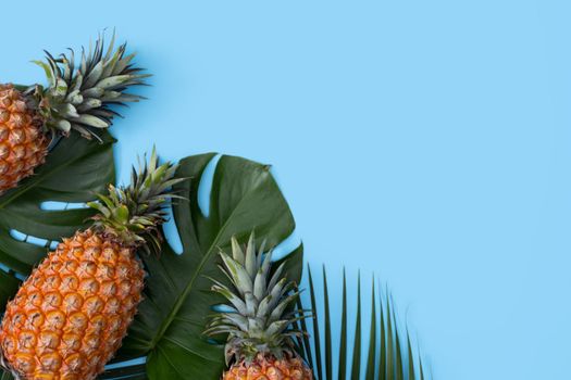 Top view of fresh pineapple with tropical palm and monstera leaves on blue table background.