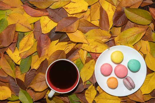 coffee mug and macaroons on yellow autumn leaves. the view from the top. High quality photo