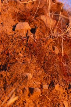 Dry land with vegetation in the golden hour in the countryside of a village in Andalusia southern Spain