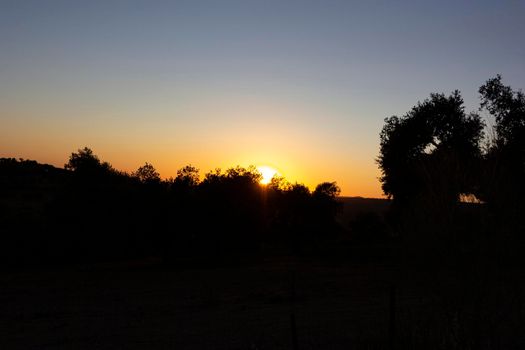 Backlit sunset with yellow, red and blue colors in southern Andalusia, Spain