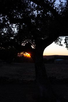 Backlit sunset with yellow, red and blue colors in southern Andalusia, Spain