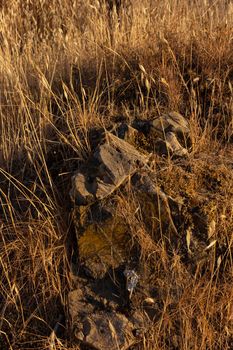 Stones on the road at the golden hour in southern Andalusia, Spain