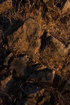 Stones on the road at the golden hour in southern Andalusia, Spain