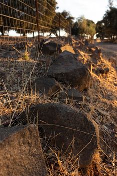 Stones on the road at the golden hour in southern Andalusia, Spain