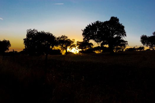 Backlit sunset with yellow, red and blue colors in southern Andalusia, Spain