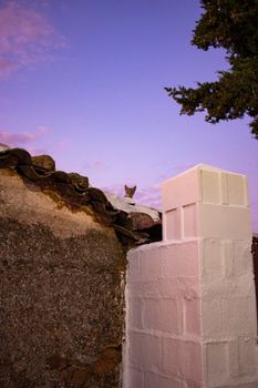Cat on a stone wall in a field in Andalusia with a sunset sky in Spain