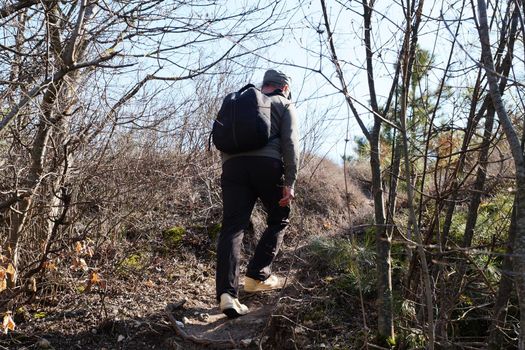 man climbing with a backpack up the forest trail, back view