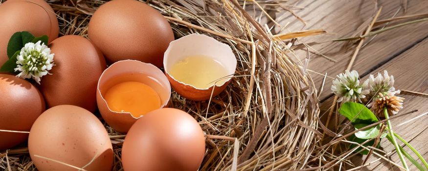 Several raw fresh chicken eggs in a nest of hay on a wooden background, horizontal banner.