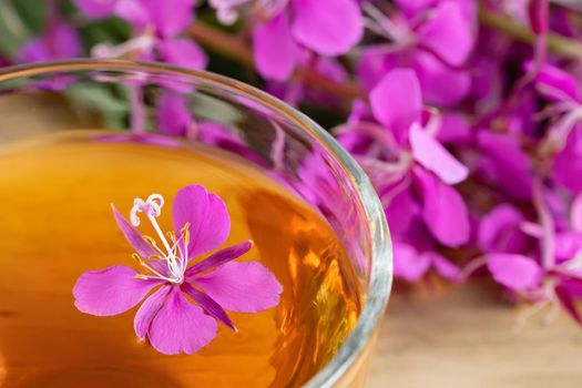 Fireweed herb known as blooming sally and tea in a cup.