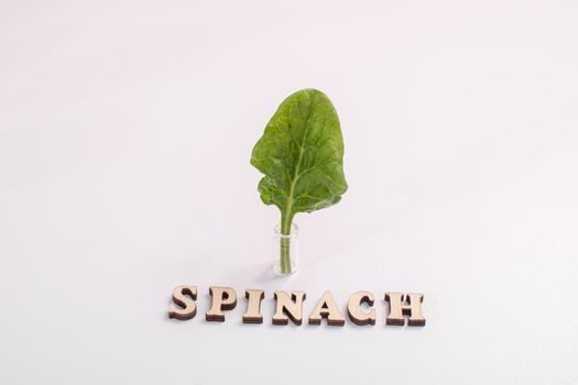 one leaf of spinach close-up in a small glass bottle. The inscription spinach is lined with wooden letters. On a white background