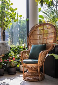 Peacock wicker rattan chair and flowers in living room overlooking the garden. Wicker chair interior decor. No focus, specifically